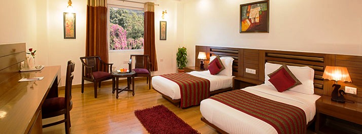 463/Anila Hotel - New Delhi - 08.jpg